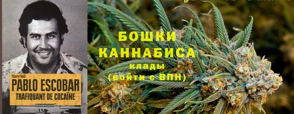 гашик Волосово
