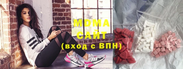 индика Горнозаводск
