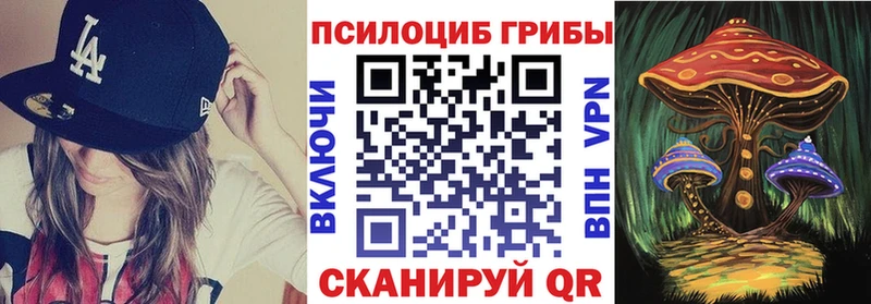 сколько стоит  Енисейск  darknet клад  Псилоцибиновые грибы GOLDEN TEACHER 